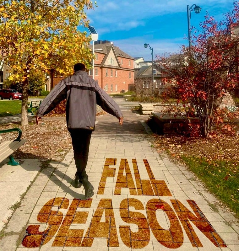 Fall Season cover art